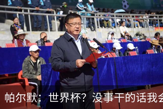 帕尔默：世界杯？没事干的话我会看看，我希望他们能走到最后