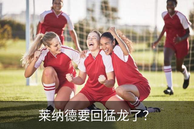 莱纳德要回猛龙了？
